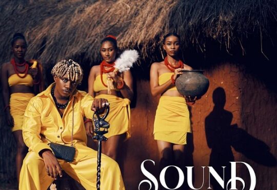 Rayvanny Sound From Africa Album