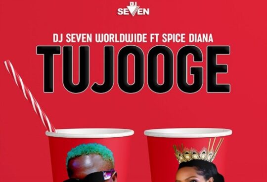 DJ Seven Tujooge