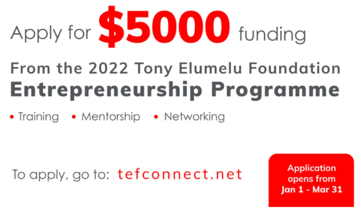 Tony Elumelu Enterpreneurship Programme