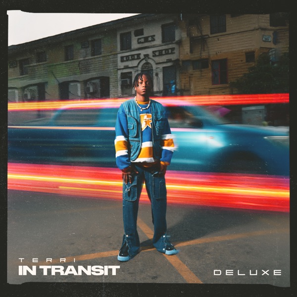 Terri In Transit (Deluxe)