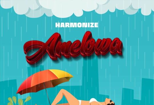 Harmonize Amelowa