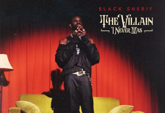 Black Sherif The Villain I Never Was Album